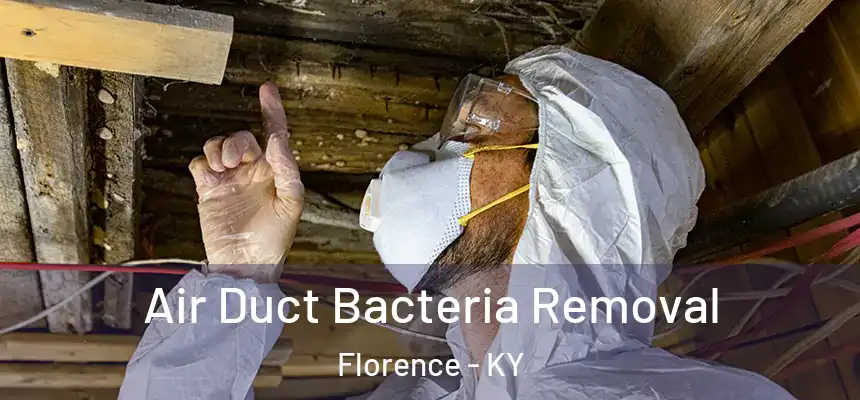  Air Duct Bacteria Removal Florence - KY