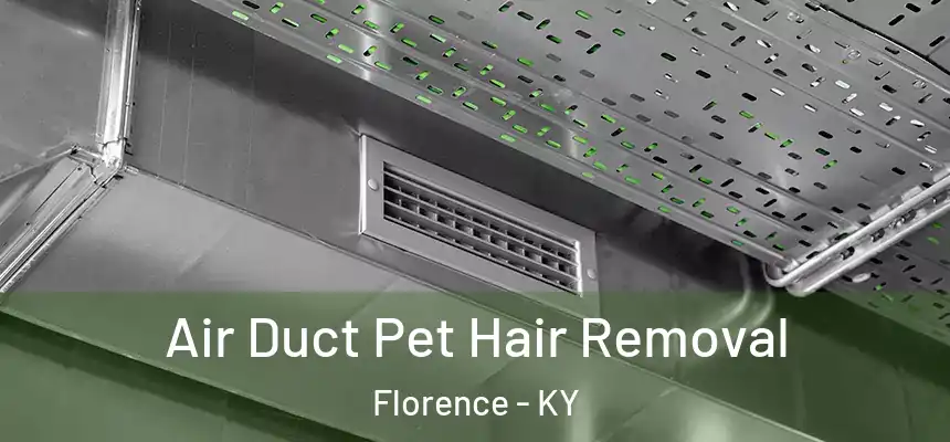  Air Duct Pet Hair Removal Florence - KY