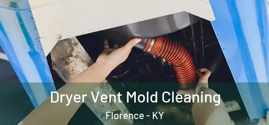 Dryer Vent Mold Cleaning Florence - KY