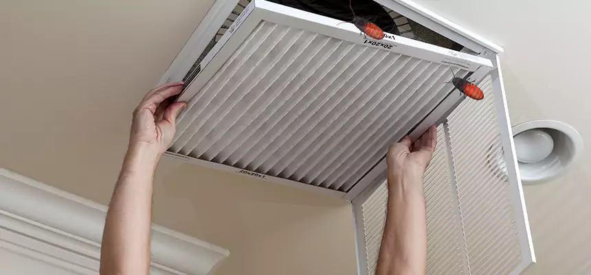 Preventive Cockroach-Proofing for Ducts in Florence