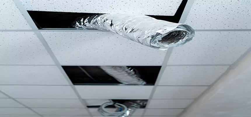 Our Air Duct Pet Hair Removal Services in Florence, KY