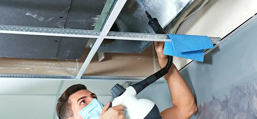 Our Air Duct Rodent Removal Services in Florence, KY