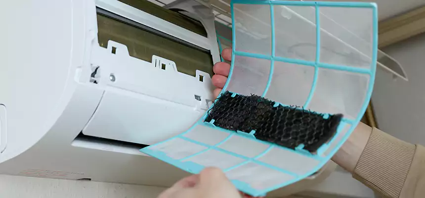 Gentle Ductwork Odor-Control Pet Dander Duct Cleaning in Florence, KY