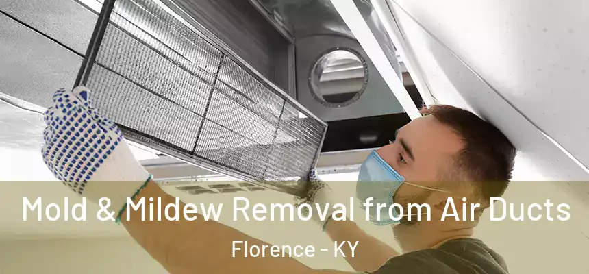 Mold & Mildew Removal from Air Ducts Florence - KY