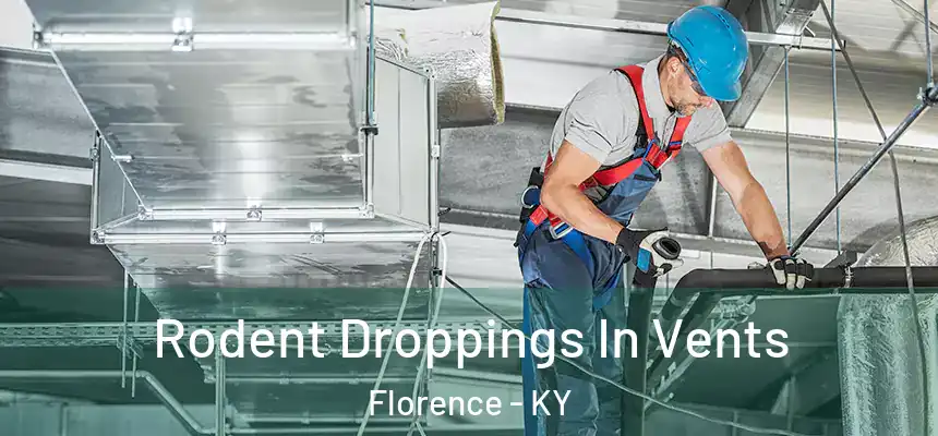 Rodent Droppings In Vents Florence - KY