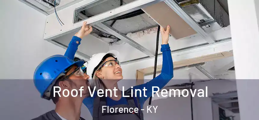 Roof Vent Lint Removal Florence - KY