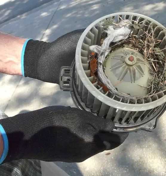 About Air Duct Rat Removal in Florence, KY