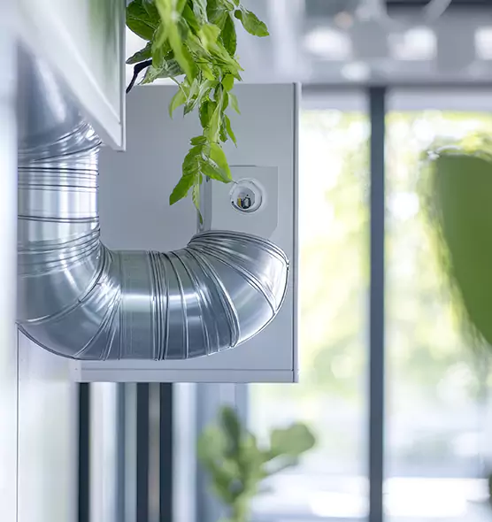 Professional Eco-Safe Dryer Vent Cleaning in Florence, KY