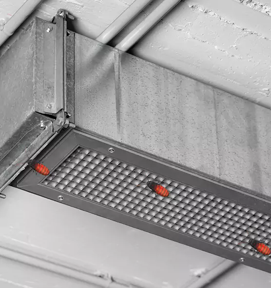 Affordable Insect Removal from Air Ducts in Florence, KY