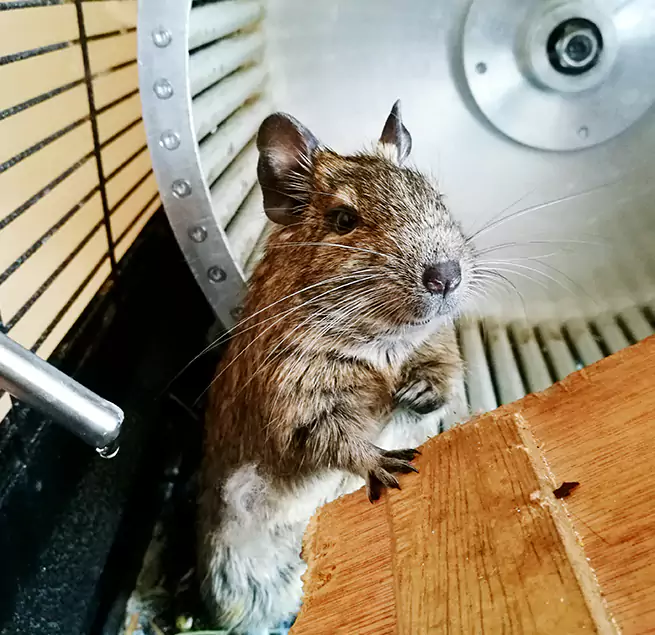 Why Homeowners & Businesses Trust Us Florence, KY?