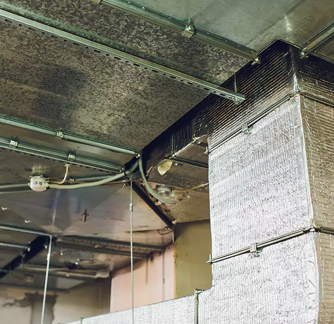 Why Homeowners & Businesses Trust Us in Florence, KY?